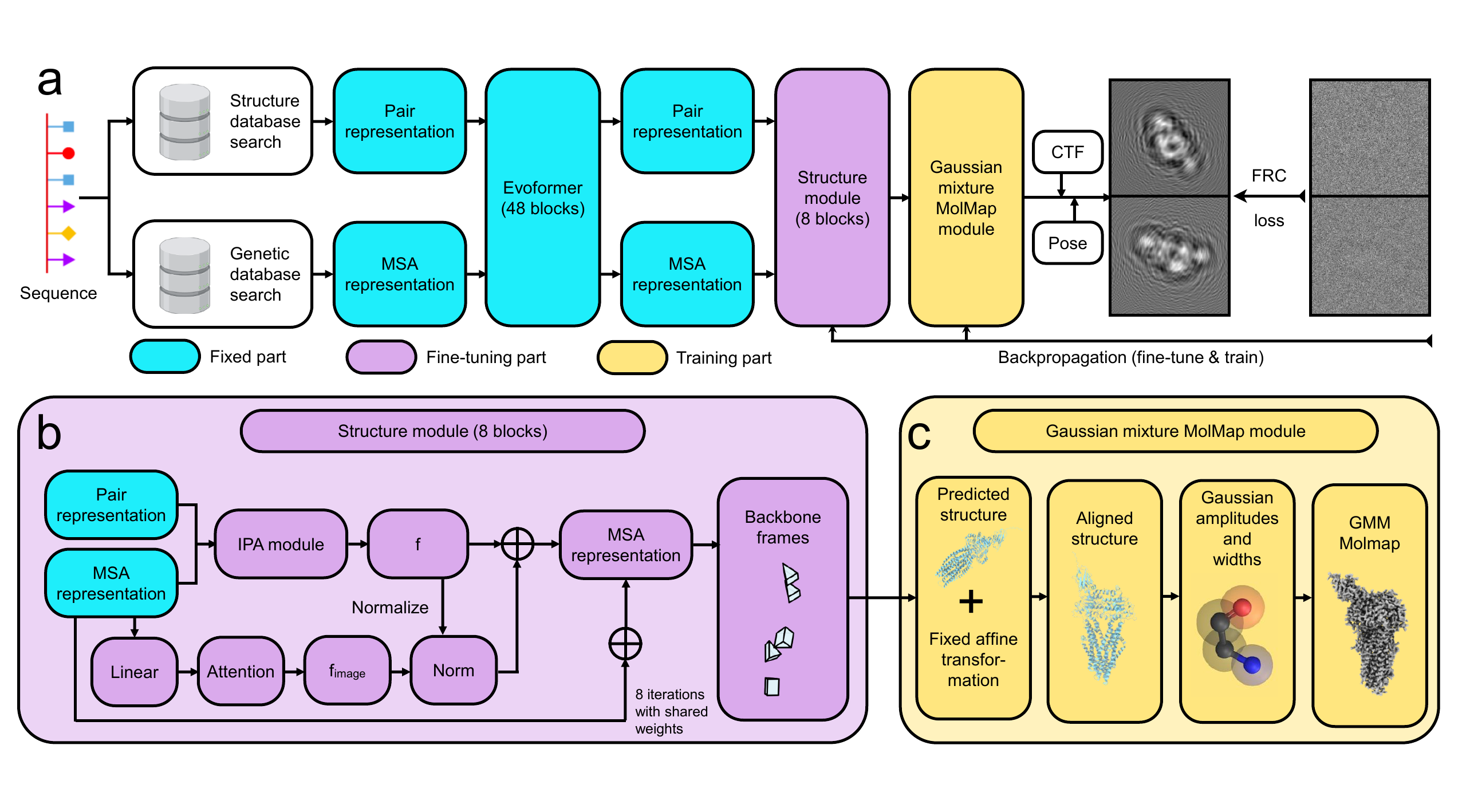 CoCoFold pipeline